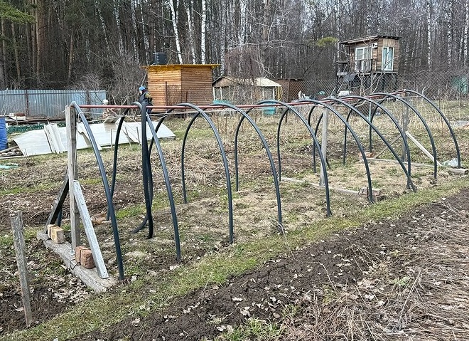 5 растений, которые я больше никогда не пущу в свой огород