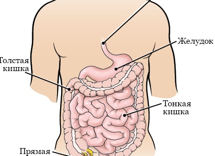 Хочешь красивый ремонт, чтобы потом не переделывать? Вот каких ошибок нужно избегать (и как сделать всё с первого раза!)