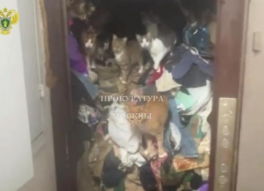 Как хозяин квартиры превратил хрущевку в дизайнерские апартаменты: реальная история ремонта в центре Махачкалы 🔥