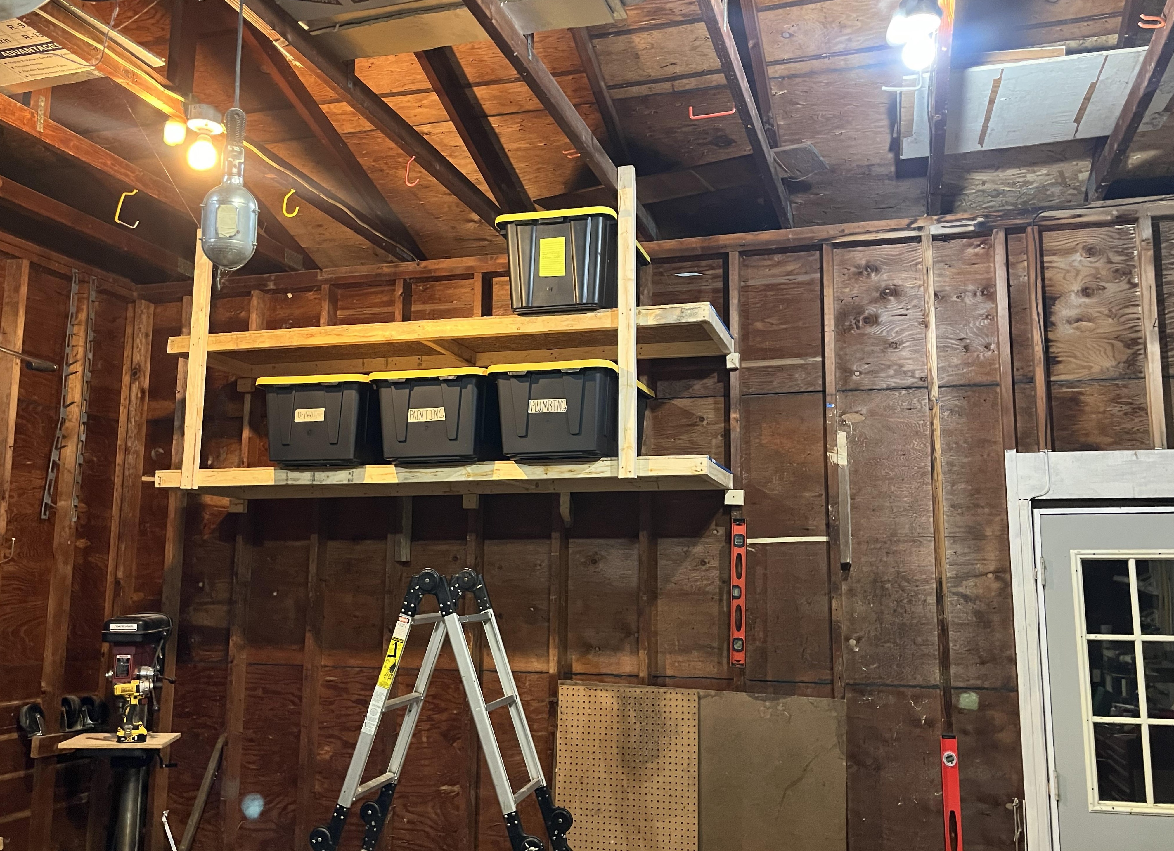 Живая изгородь: как я переделывала проект от профи — и осталась в выигрыше (да, соседи завидуют!)