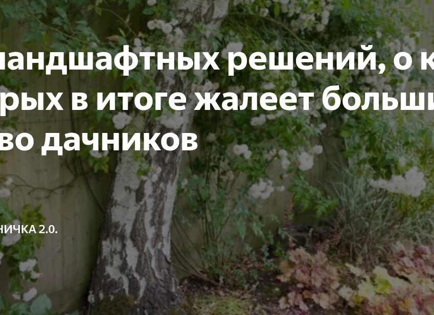 Антисад: мой честный список неудачных многолетников