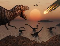 Millal dinosaurused välja surid? Mis ajal dinosaurused välja surid?